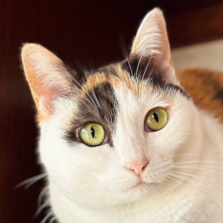 B1fa84d3 9848 4d13 b85f 10d123d3c50a 1681782834586