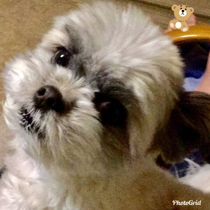 B1fa8742 961f 4463 92c0 1d41c856f85a 1517038101770