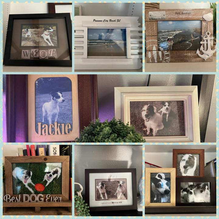 B1fa8b7e 3edb 488d a7e9 2cba508022ed 1707260721185