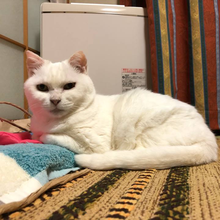 B1fa9bfb 86f7 4b41 8a8a d0bdf8cd54f2 1528981591549