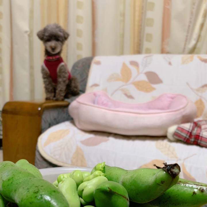 B1faacd8 ed9f 4e14 830a bf3e9f53c290 1621938761340