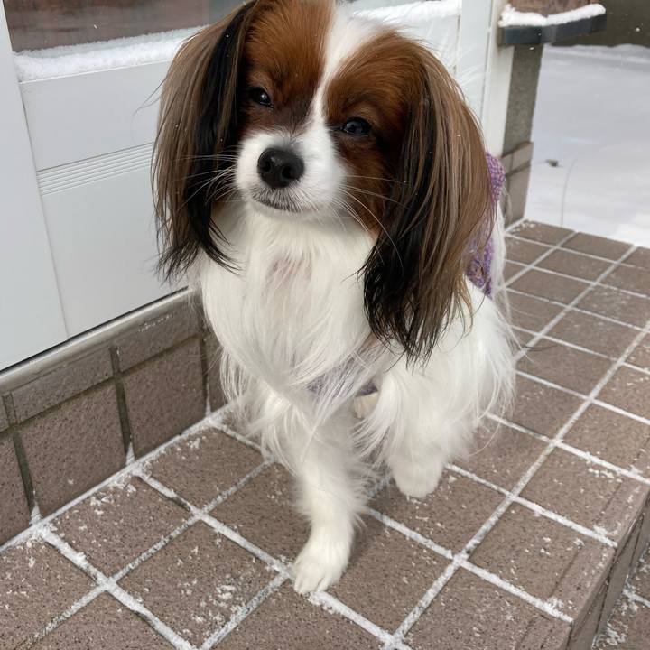 B1fabdec 099f 4273 8ede a61f68e8c462 1640923651984