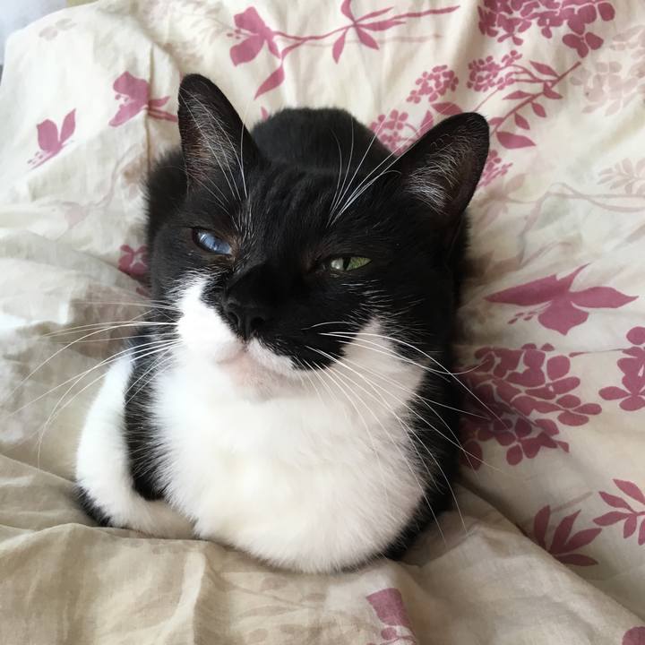 B1fb127e 6a46 4c0e a4d3 064b923585c4 1567997433289