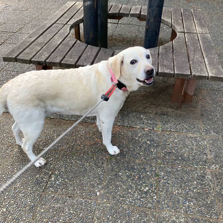 B1fb4100 10f0 4873 92a5 265db817d285 1743841423245