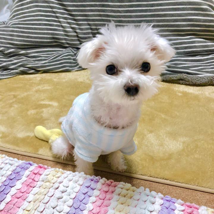 B1fb4af7 03b8 4927 b9da 106ba93a9b98 1547509173482