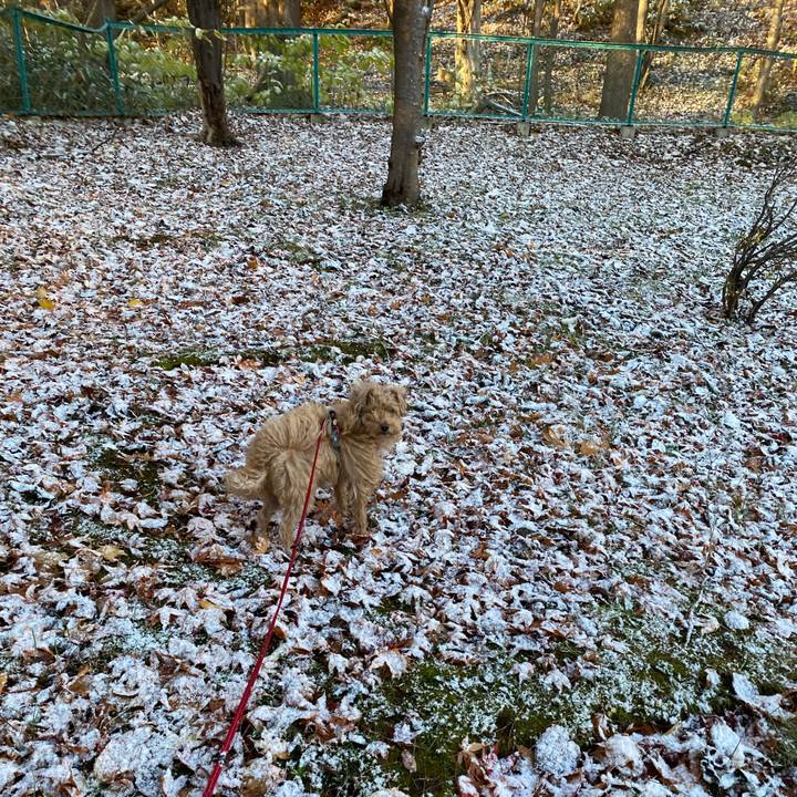 B1fb847f 3cd3 47cc ac04 a1813d5a89aa 1699745456323