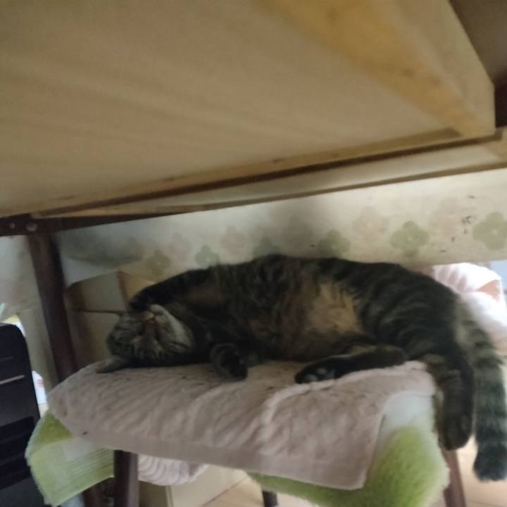 B1fbb619 d233 4e61 aad6 a747feb4fe3f 1668223003349