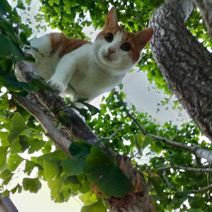 B1fbfaf4 ae1b 48df 90d2 77b1a4715021 1528539718186