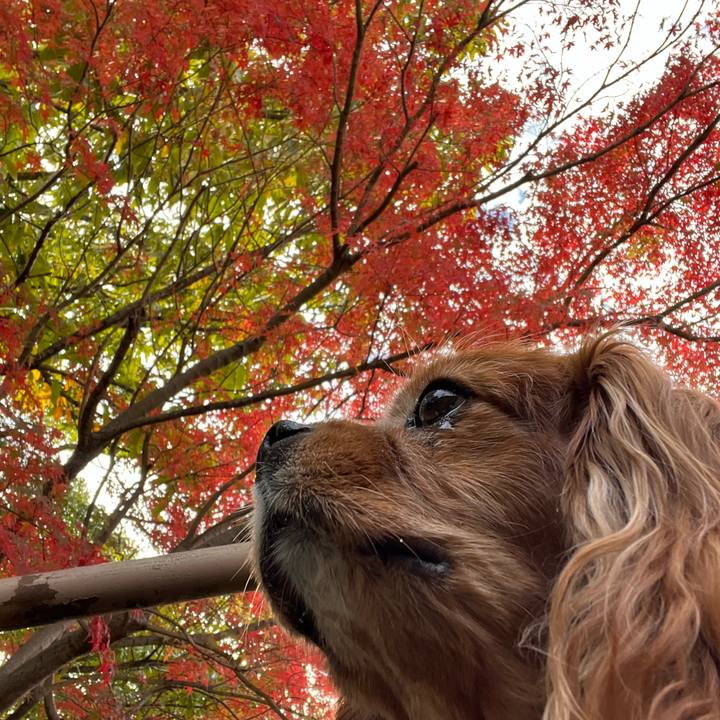 B1fc7b24 456b 4e0c ab33 2ac022652032 1700957489769