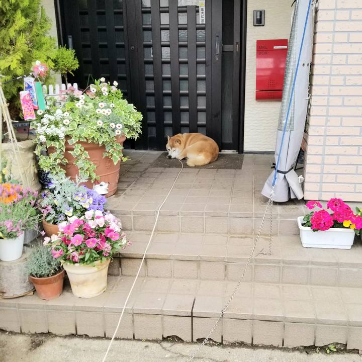 B1fc929a 3657 4ad8 acca 7e839e51d656 1652397876659