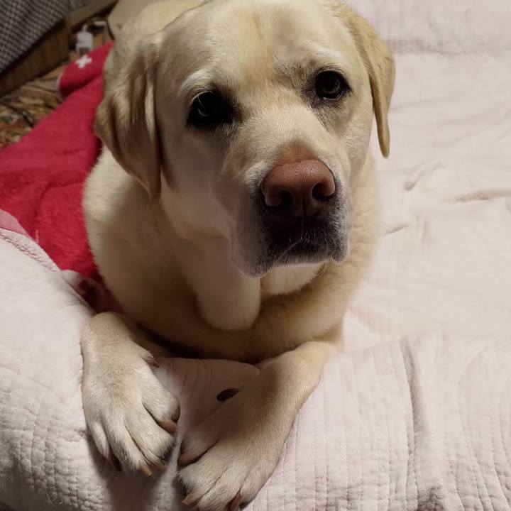 B1fc9870 2680 493f b507 c1c38f96005c 1650241957290