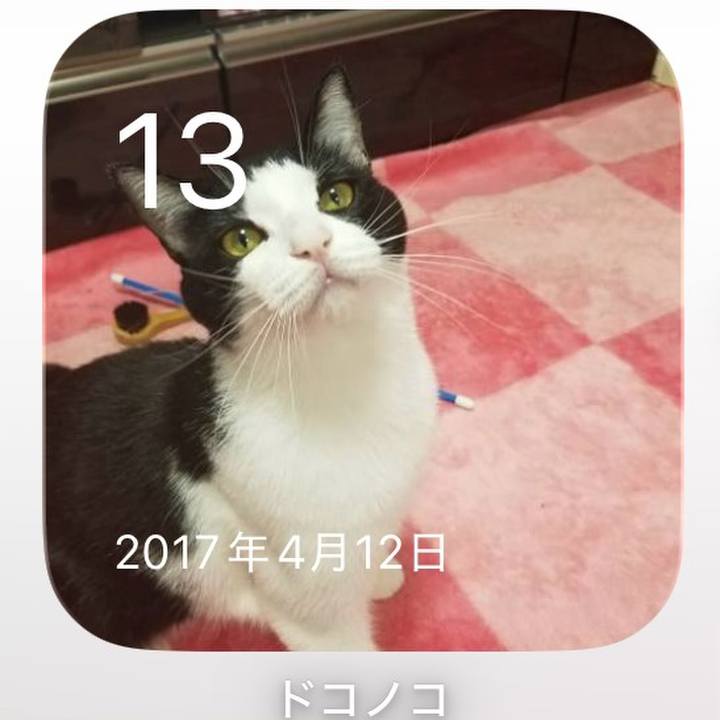 B1fc9970 3784 47d1 be4d 3f57fc6b5ee7 1776046176104