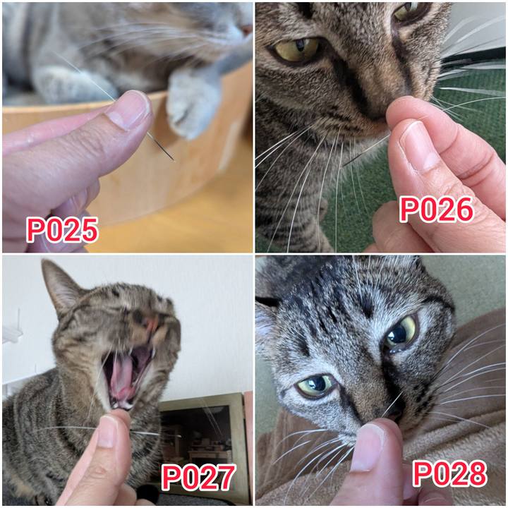 B1fce0f2 26ce 407d 829e 314420e97cdc 1746591117742