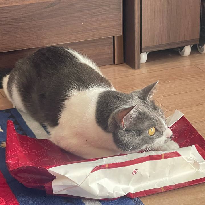 B1fce610 53cb 418b 9c3c 649f8d76138a 1632884804771