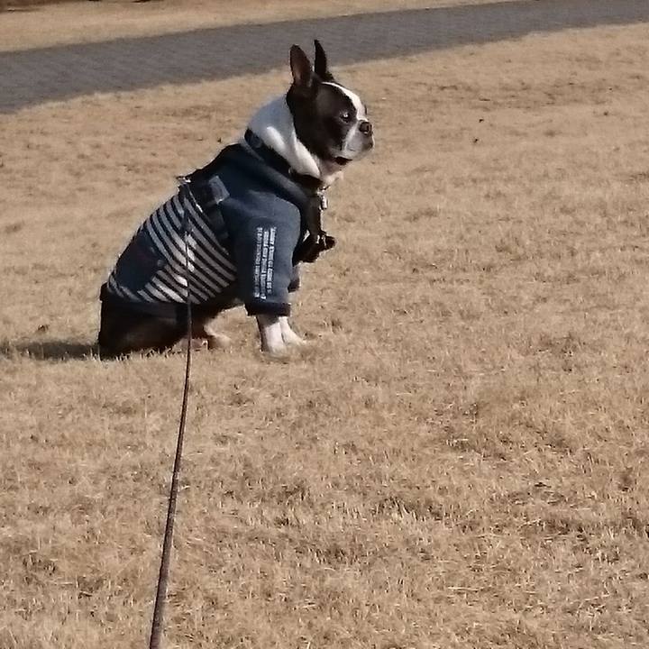 B1fd1139 d4e1 4985 b896 12422a0e6410 1635687264847