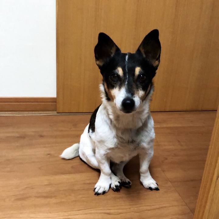 B1fd1469 1ec8 4525 a546 f1ce7e58b0f4 1555457048123