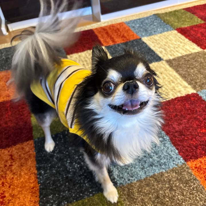 B1fd237a 848b 43cf b242 9b094f29c5b9 1746291720271