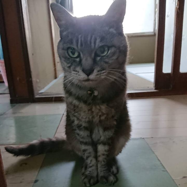 B1fddd65 6b93 4091 a191 4a287d197ad9 1602189563478