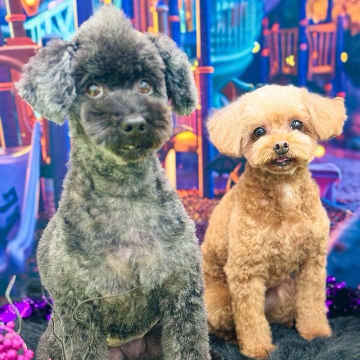 B1fde259 00f6 4c97 973c b44e724fd994 1761900408549