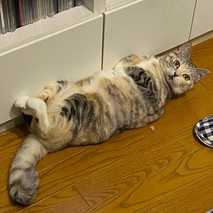 B1fde87e 4383 4be9 8e26 75a1ec3bc2cf 1654179380497