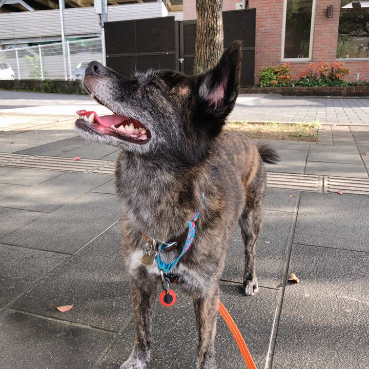 B1fe1cdf fcc3 48c7 b9d1 bcda0d9fddcc 1567550976865