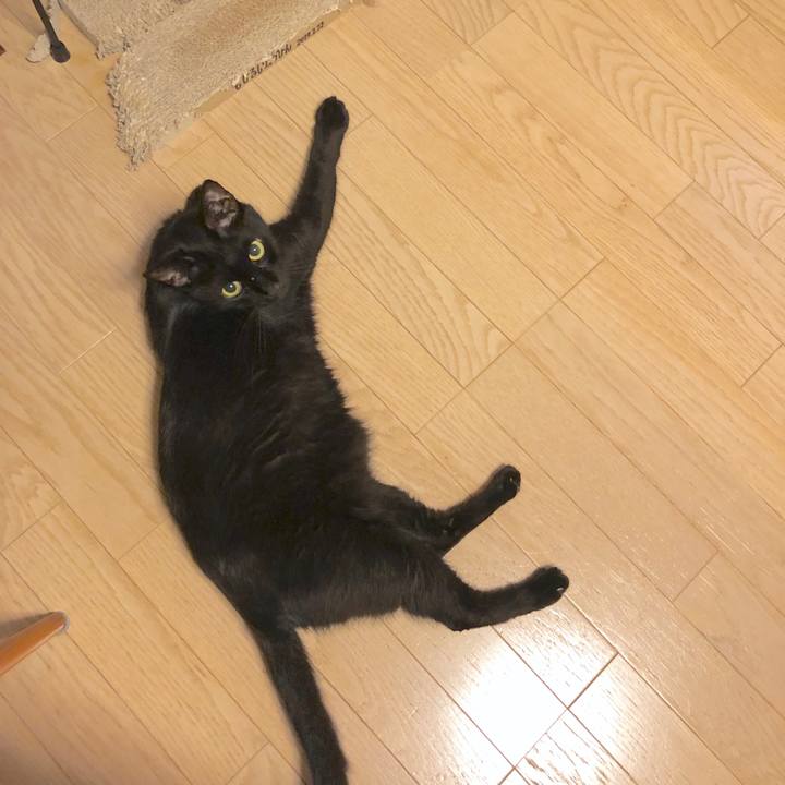 B1fe25fa 4cd4 44e3 af7c 14db1bfeb25f 1563464568415