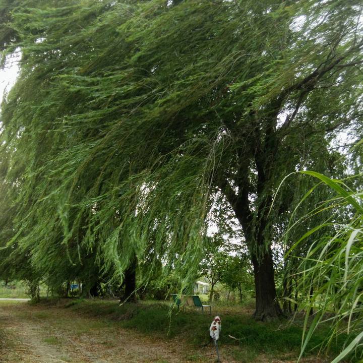 B1fe5934 c047 466d b241 c70eb0940784 1535023525613