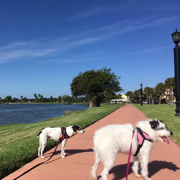 B1fe6c4b dbb6 4564 95a4 6575b6d5572b 1571955584201