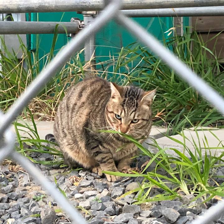 B1fe6d8c 3bac 4d3c 89c4 4d63f8ff04ad 1546657814397