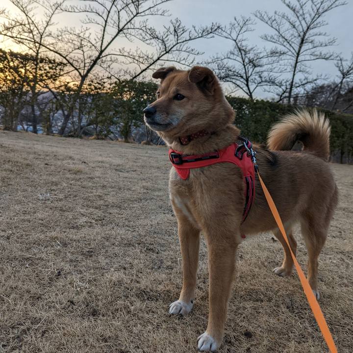 B1fe78ea 7d8e 4f36 afa9 6f29b2638107 1647266969178