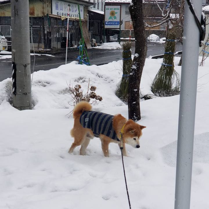 B1fe7f8e 922b 4df9 ba39 b67c2d1995fc 1676003925782