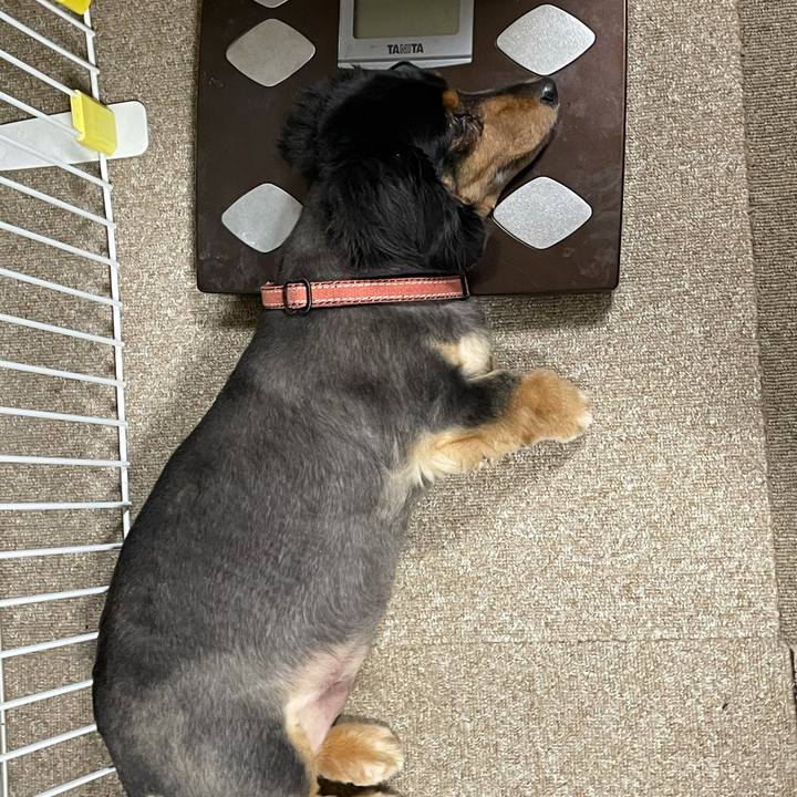 B1feb66a 24b3 4af3 98d7 138dd883e530 1615931789972