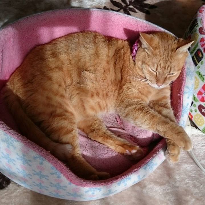 B1ff0a36 3a16 4de6 a685 25e7c68a4a45 1545788584899