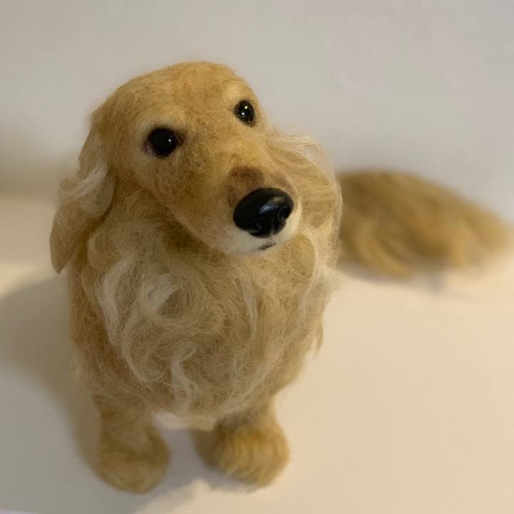 B1ff45a0 2925 4e03 aa65 ff399b4d9a81 1547469225229