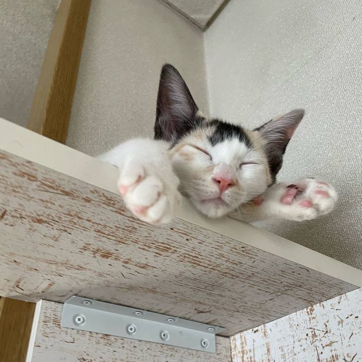 B1ff7c10 b0b3 43ec b1e9 22c1ea3f5dee 1659505079297