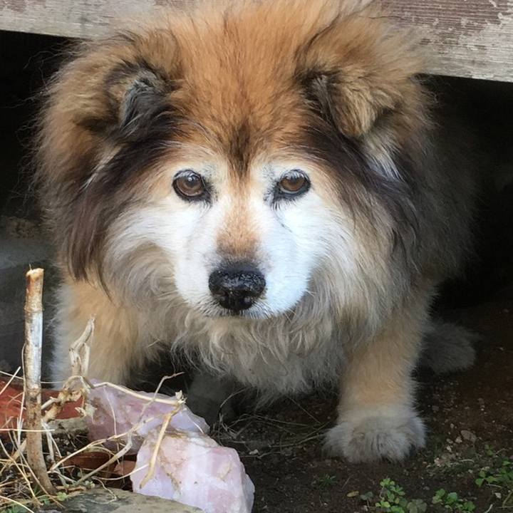 B1ff89b1 3c0b 4bef 9000 990c0c2eb989 1609326543126