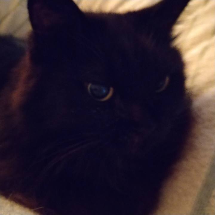 B1ffc830 6045 49c6 8dcf d4a528d3d6ce 1635803208284