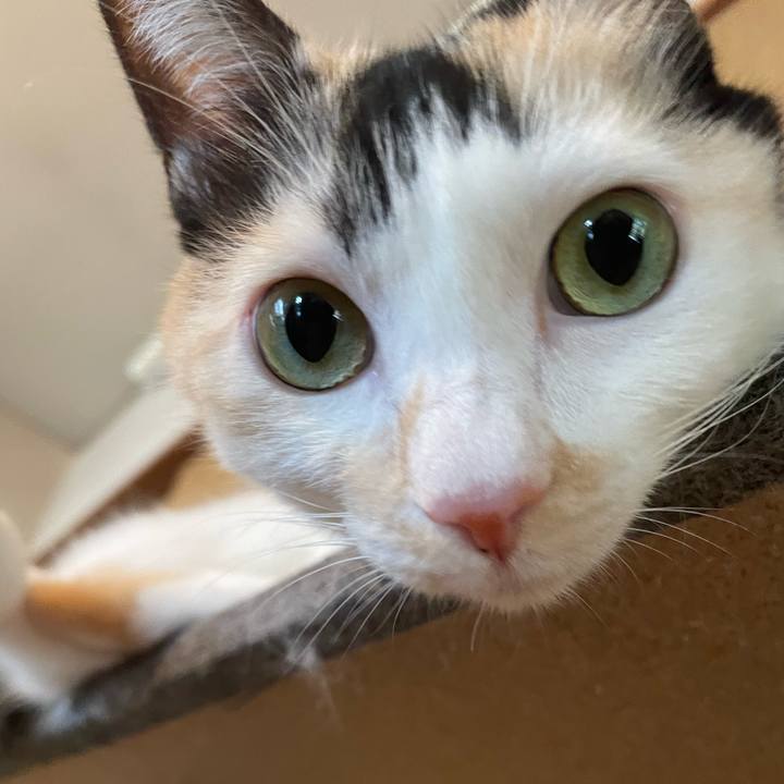 B1ffd8e6 e255 446f 8809 dccfba2534a4 1725236873406