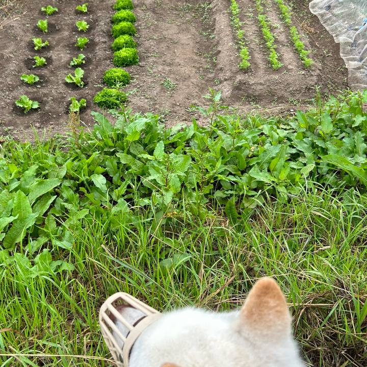 B2004f56 e13c 46b3 8056 e02a1fda5776 1687557575524