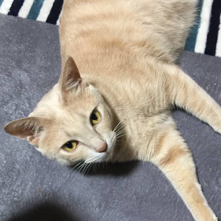 B20059df 671f 4f8b 8daa 07374a154e84 1528457529716