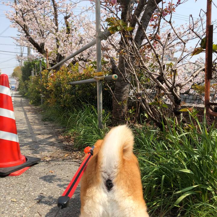 B200c614 9fe3 4a06 aa8e 7d2aa7c9633d 1586355273842