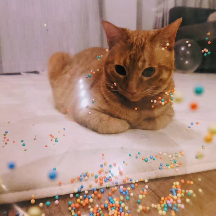 B200ca56 b4ae 4958 875a ed11eac9e622 1621291276067