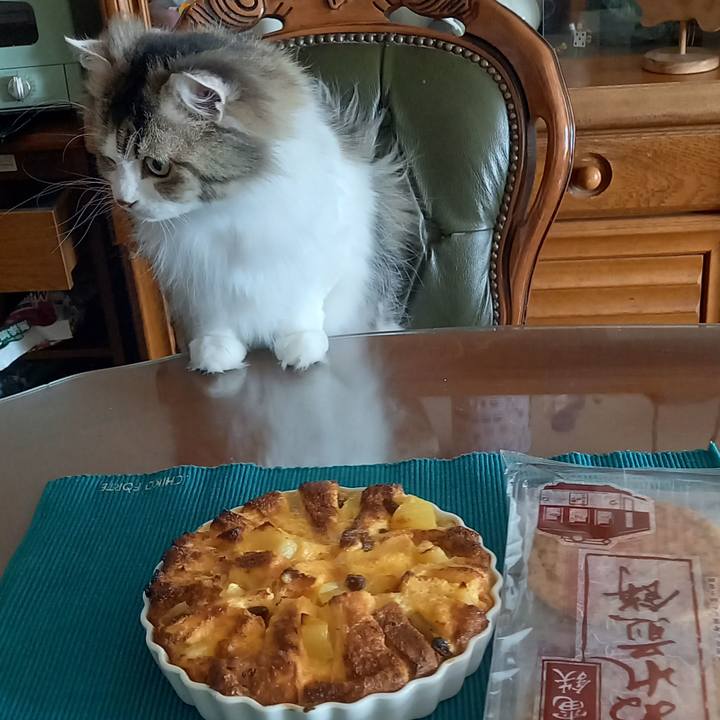 B200d39a f717 4dce a180 51dea687caf0 1675287936918