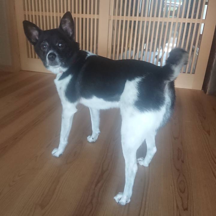 B2011288 6d4b 45e0 9820 901031b45e07 1626482097754