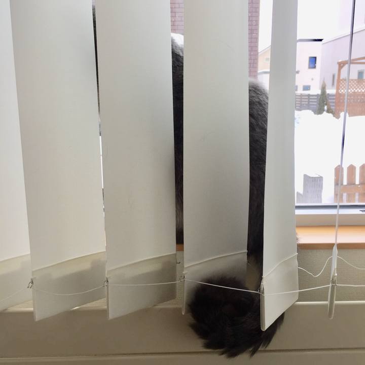 B2012dc9 80d2 4af9 b2a4 cfa5ed216814 1518223532608