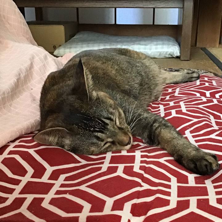 B2013290 0761 4022 b8db 4ebf0afb8926 1635574508087