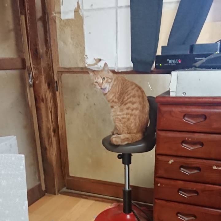 B201c6e4 0ea3 4279 8eac 7be033d77dda 1649920764818