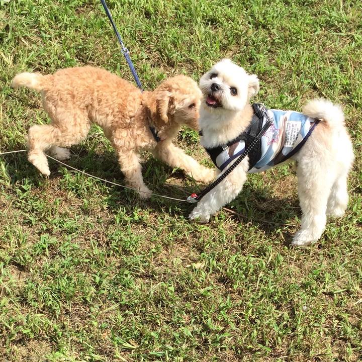 B201fd04 86e5 4a66 936f 927414aa84e4 1537164871092