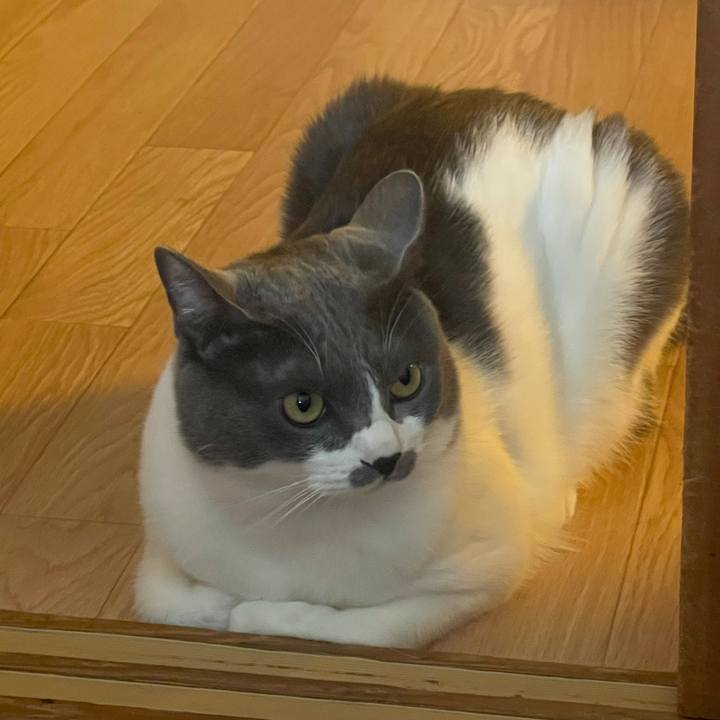 B2020571 ea2c 4cf5 8e0a 096672d0535f 1627084223791