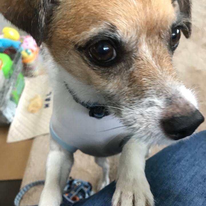 B20206e5 d705 4f6a 9d55 5f704aefad34 1536443707130